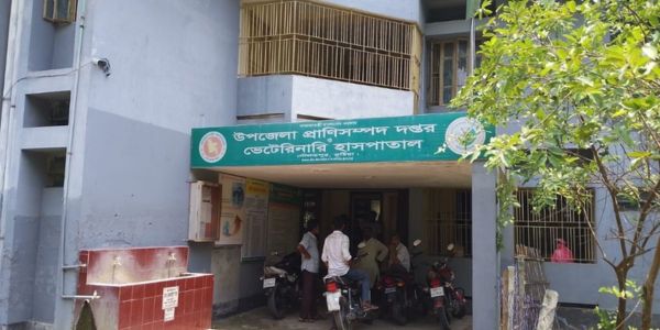 দৌলতপুরে প্রাণিসম্পদ দপ্তরে উন্নত জাতের ঘাস চাষ প্রকল্পের অর্থ প্রদানে নয় ছয়